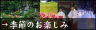 �G�߂̂��y����