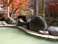 秘湯の宿元泉館 紅葉露天風呂