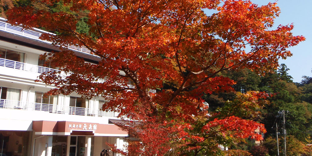 あなただけの一期一湯をお楽しみください。 元泉館 紅葉外観