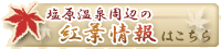 ����������ӂ̍g�t���͂����炩��