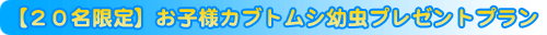�y�Q�O������z���q�l�J�u�g���V�c���v���[���g�v����
